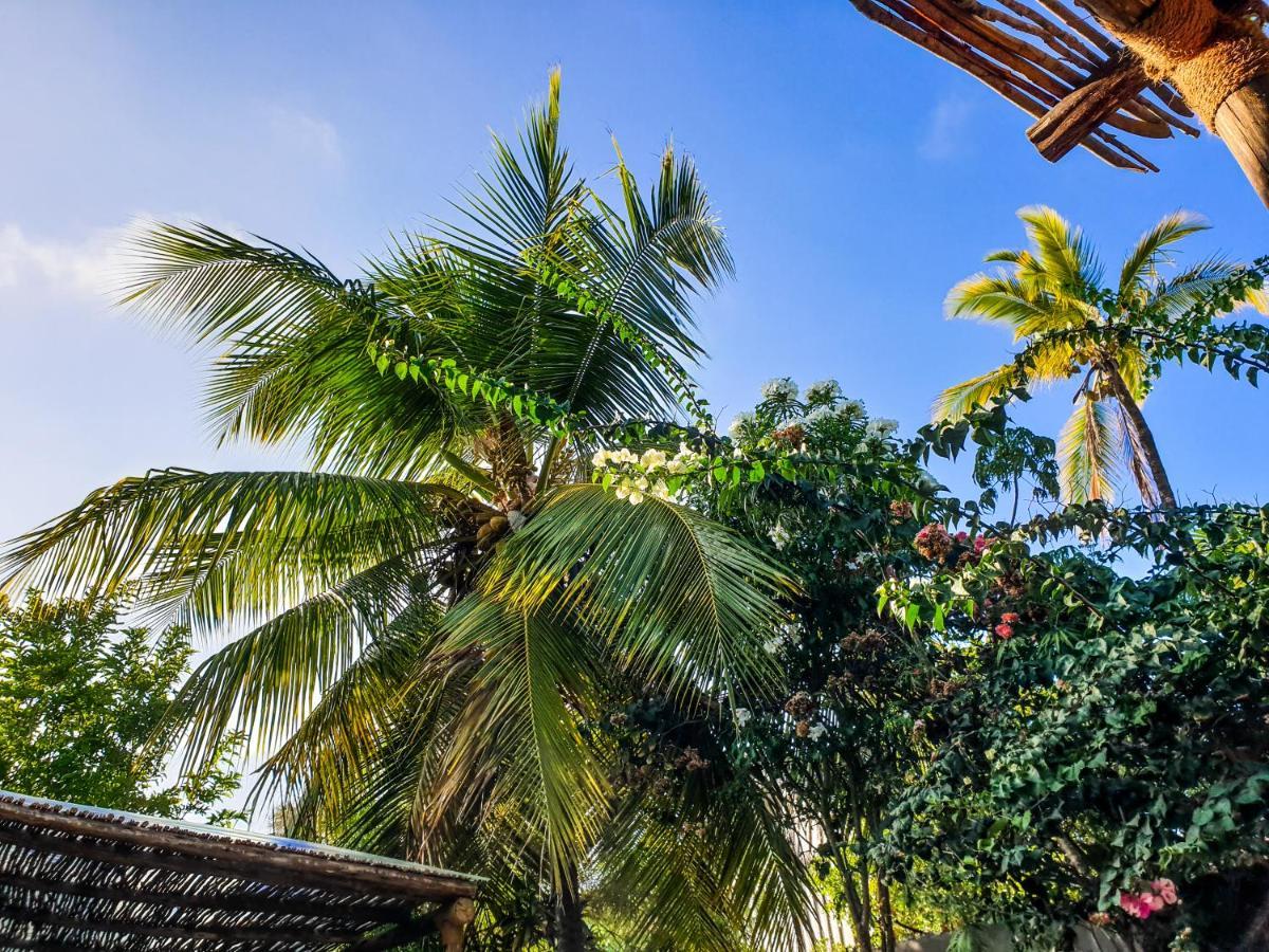 Deja Blue Hotell Paje Eksteriør bilde